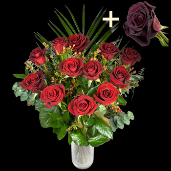 11 Red Roses and single Black Baccara Rose