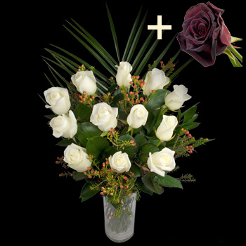 11 White Roses and a Black Baccara Rose