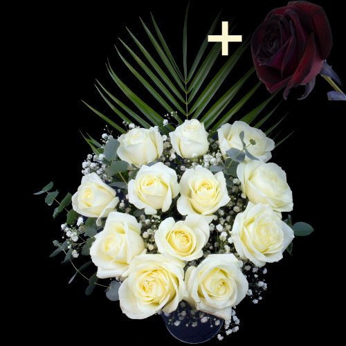Buy Black Roses Online with Free Delivery from interROSE