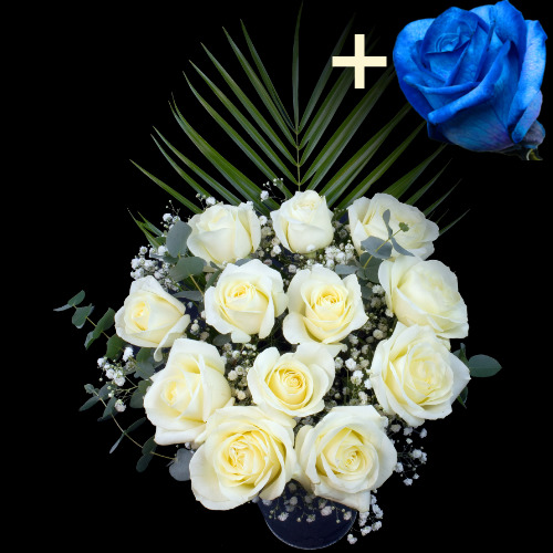 11 White Roses and a Blue Rose