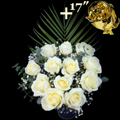 11 White Roses and a 17Inch Gold Dipped Rose