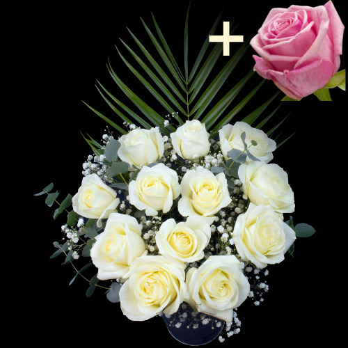 11 White Roses and a Pink Rose