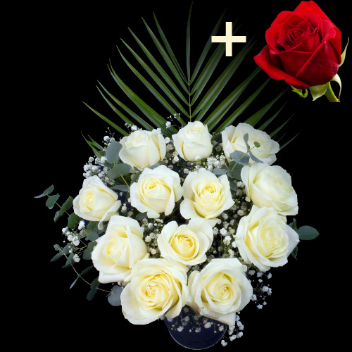 11 White Roses and a Red Rose