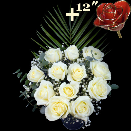 11 White Roses and a 12Inch Gold Trimmed Red Rose