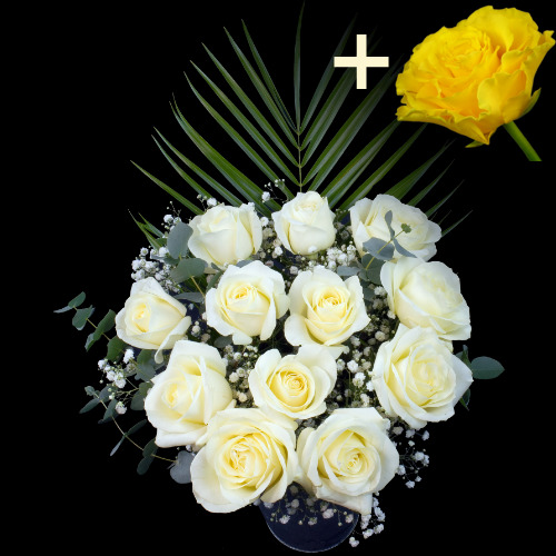 11 White Roses and a Yellow Rose