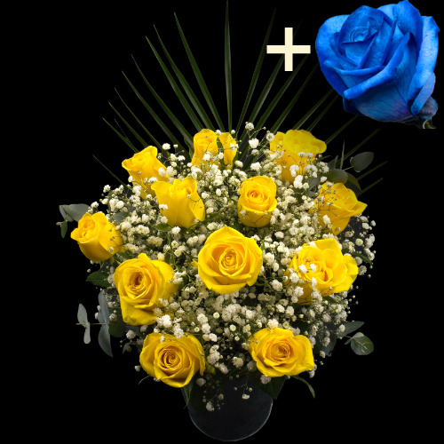 11 Yellow Roses and a Blue Rose