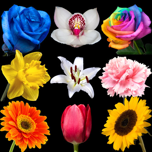 A Year of Luxury Flowers sent every month