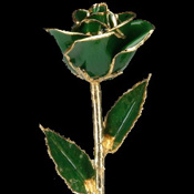 A Green 17Inch 24kt Gold Trimmed Rose