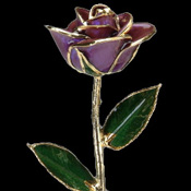 A Purple 17Inch 24kt Gold Trimmed Rose
