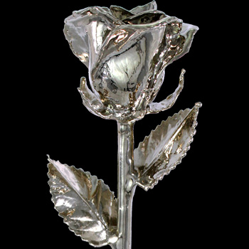 A 12Inch Platinum Dipped Rose