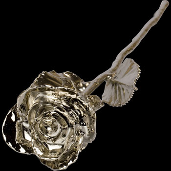 A 17Inch Platinum Dipped Rose