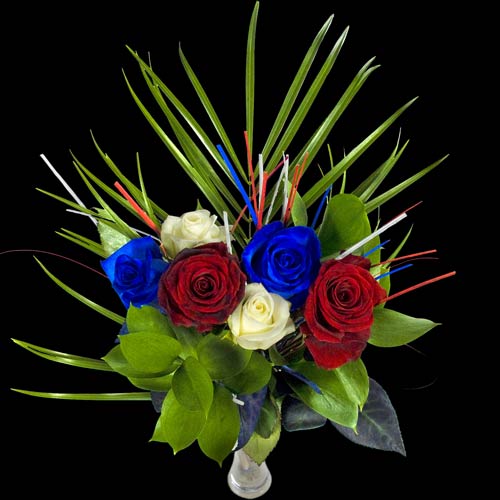 6 Luxury Great British Roses