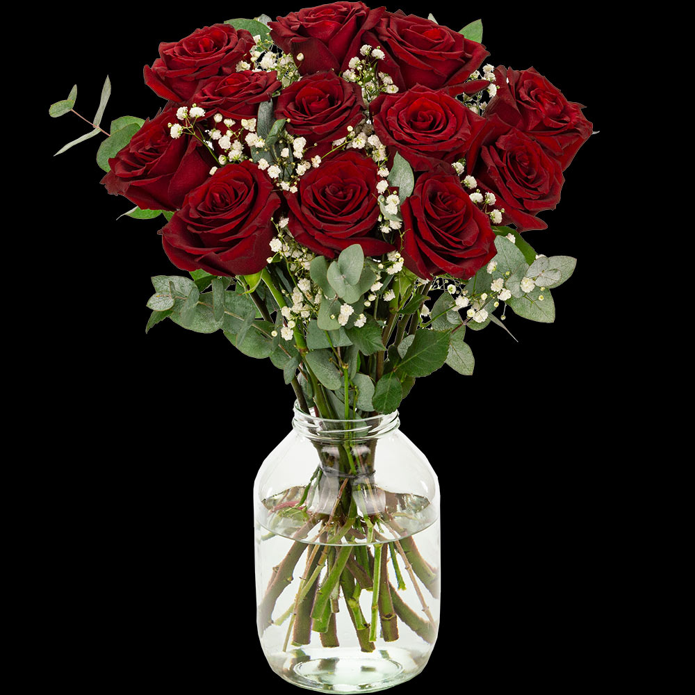 12 Luxury Red Roses