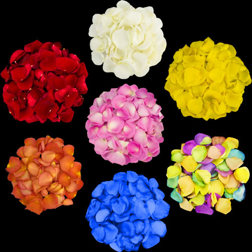 1 Jug of Fresh Rainbow Mix of Petals Rose Petals