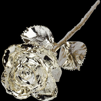 A 17Inch Silver Dipped Rose