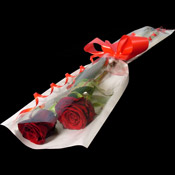 2 Luxury Valentines Day Roses of your choice