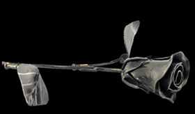 A Single Scrapyard / Metal Rose!