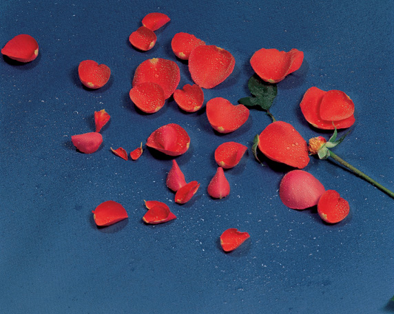 The Rose Delivery Specialists!