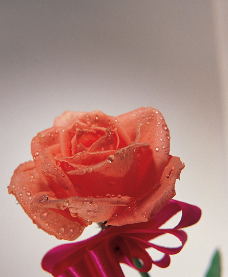 The Rose Delivery Specialists!