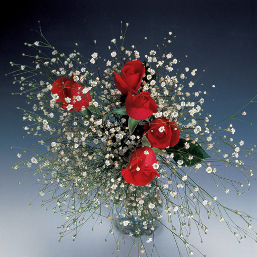 The Rose Delivery Specialists!