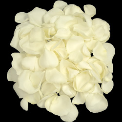 Click here to visit InterPetal the Freeze Dried Floral Specialists