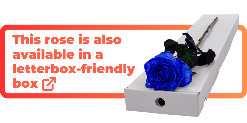 These blue (dyed) roses are also available in a letterbox-friendly box.