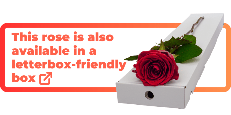 These red roses are also available in a letterbox-friendly box.