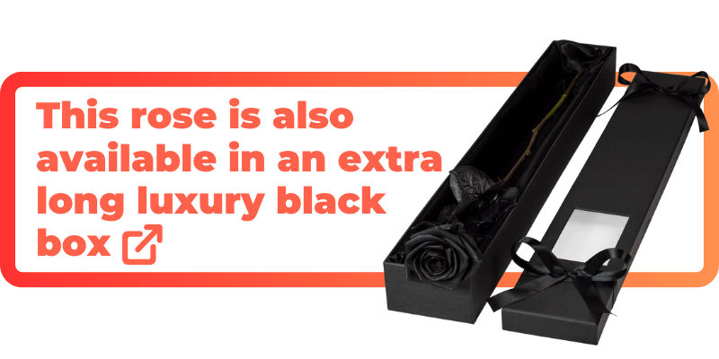 This black rose is also available in an extra luxury black box.