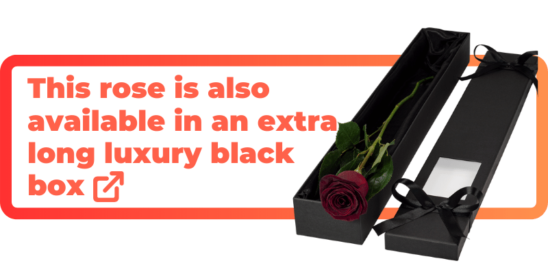 These black baccara roses are also available in an extra luxury black box.