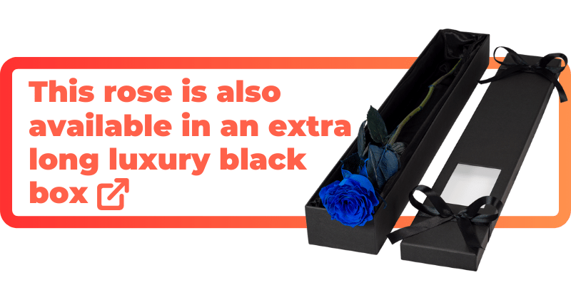 These blue roses are also available in an extra luxury black box.