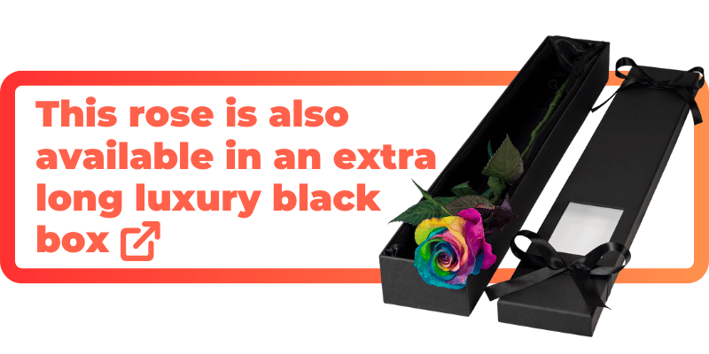 This happy rainbow rose is also available in an extra luxury black box.