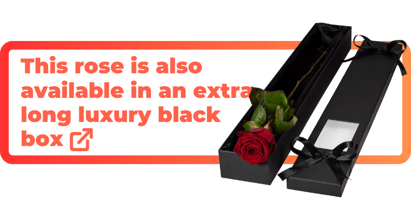 These red roses are also available in an extra luxury black box.