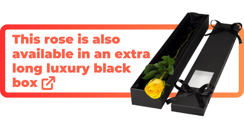 These yellow roses are also available in an extra luxury black box.