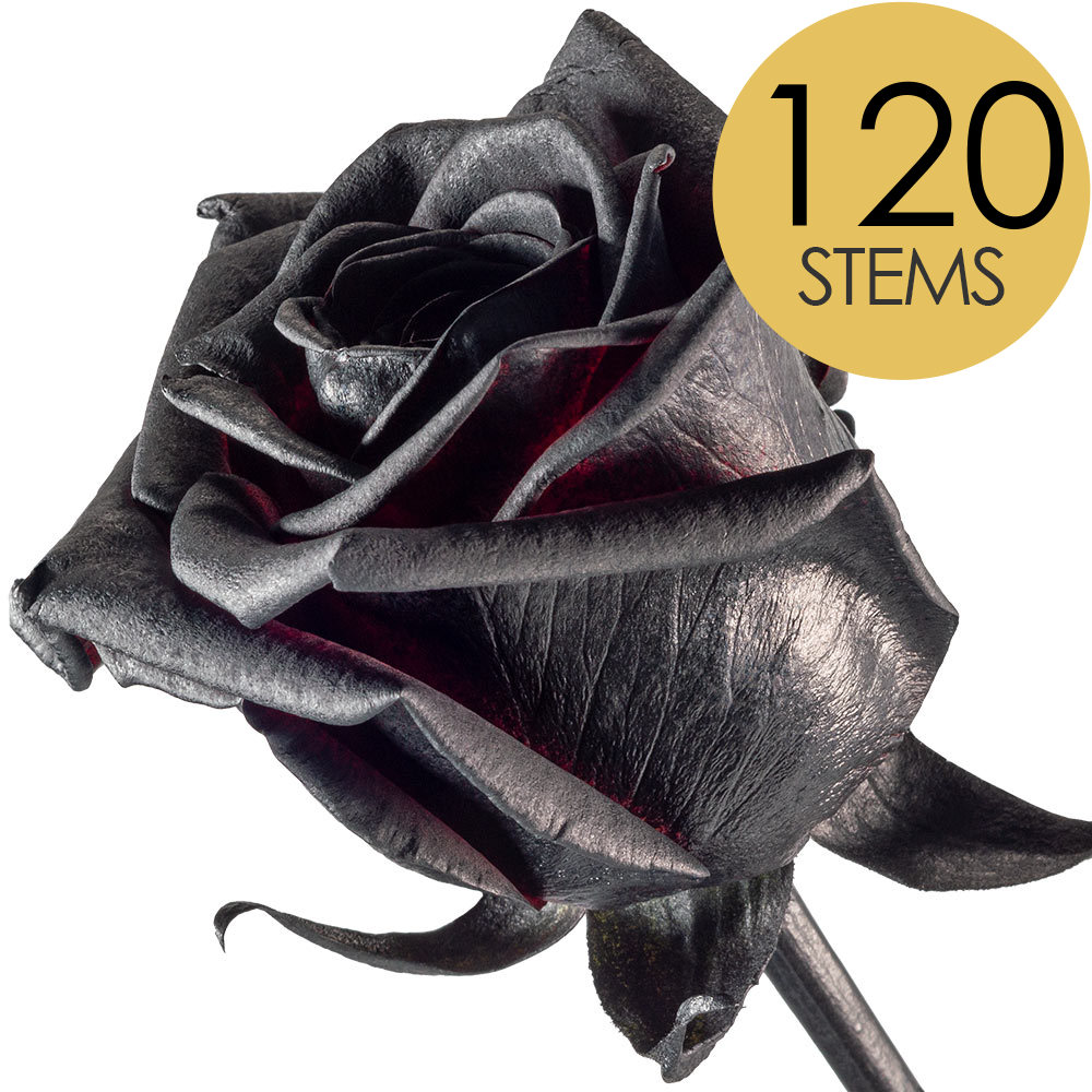 120 Bulk Black Roses