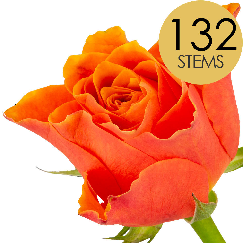 132 Bulk Orange Roses