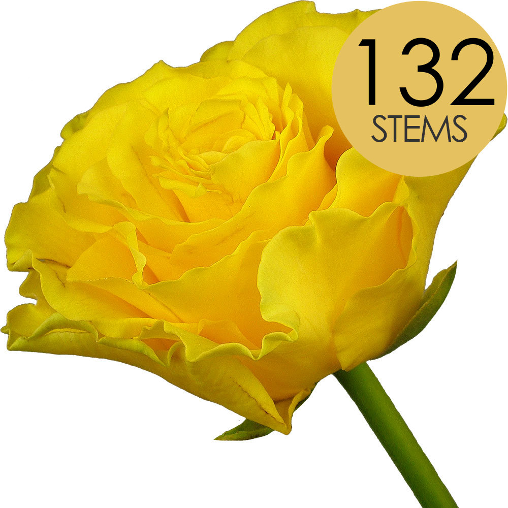 132 Bulk Yellow Roses