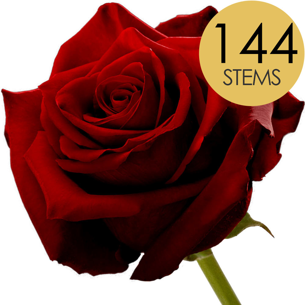 144 Bulk Red (Naomi) Roses