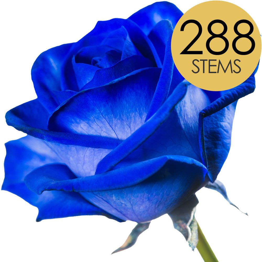 288 Bulk Blue (Dyed) Roses