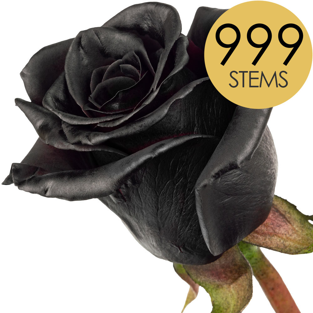 999 Bulk Black (Painted) Roses