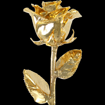 Flower Essence Services: Gold Dipped Flowers